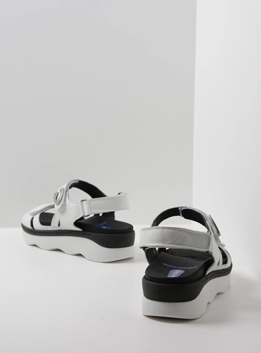 Wolky Medusa (Women's) - White
